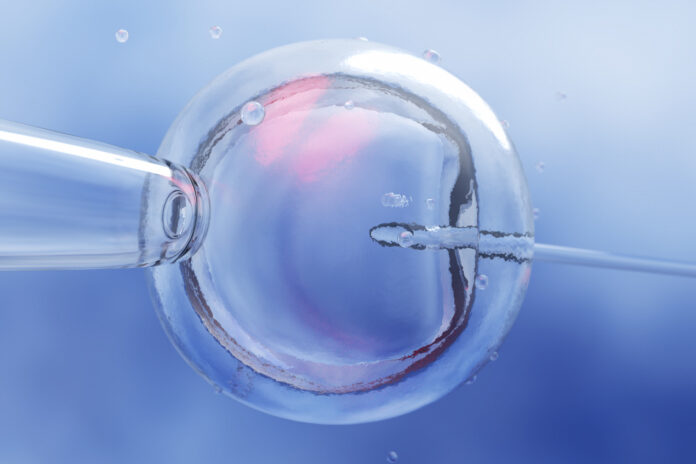 Jakie są wskazania do podjęcia próby zapłodnienia in vitro?